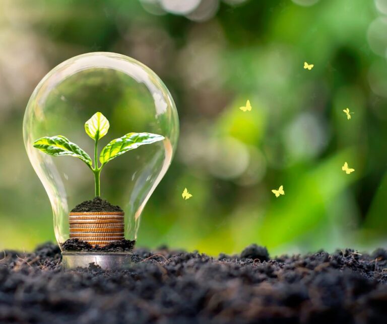 Tajemnice Szkolnych Ogródków Ujawnione!